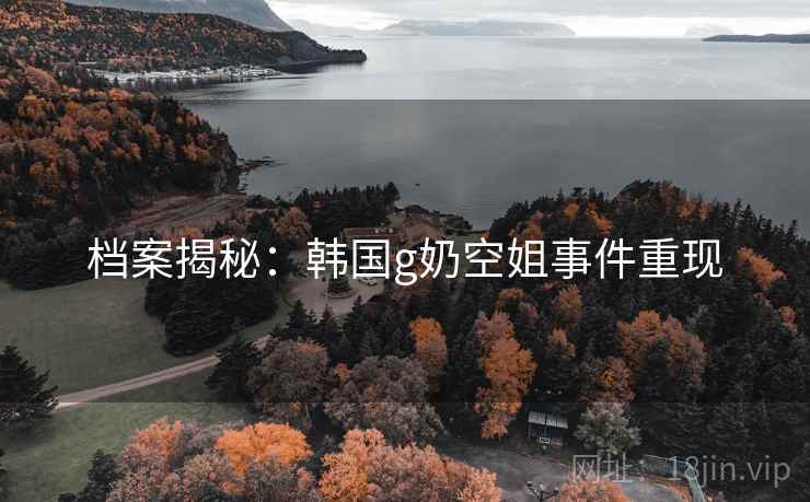 档案揭秘：韩国g奶空姐事件重现
