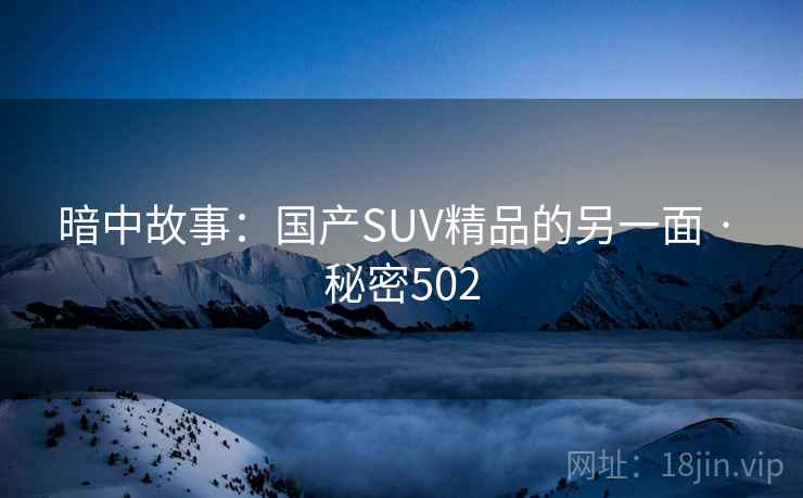 暗中故事：国产SUV精品的另一面 · 秘密502