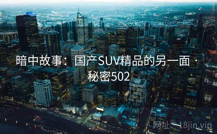 暗中故事：国产SUV精品的另一面 · 秘密502