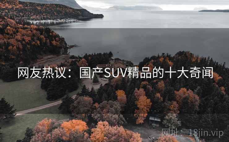 网友热议：国产SUV精品的十大奇闻